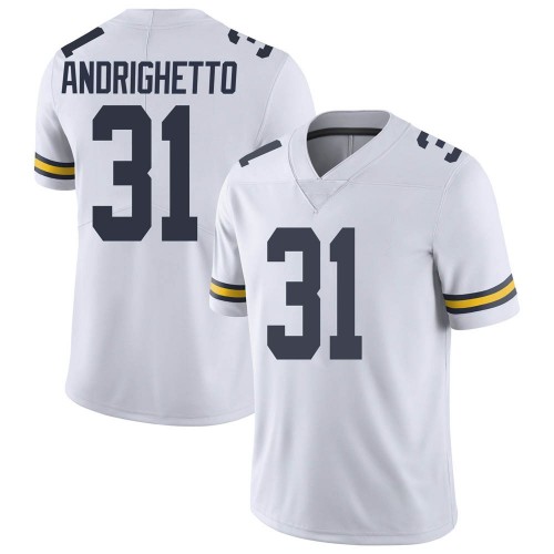 Lucas Andrighetto Michigan Wolverines Youth NCAA #31 White Limited Brand Jordan College Stitched Football Jersey JZW8554FW